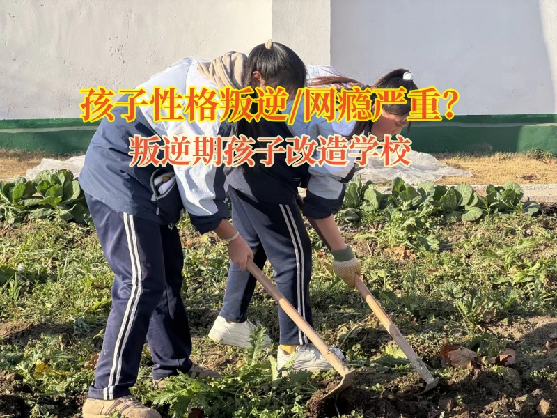 叛逆期孩子改造學(xué)校磨煉孩子意志的建議